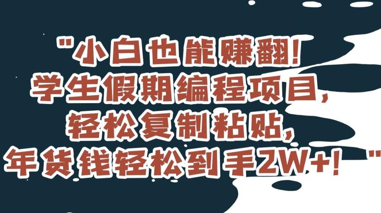 小白也能赚翻！学生假期编程项目，轻松复制粘贴，年货钱轻松到手2W+【揭秘】-泱泱学习社