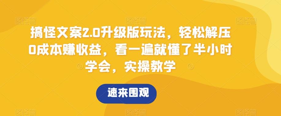 搞怪文案2.0升级版玩法，轻松解压0成本赚收益，看一遍就懂了半小时学会，实操教学【揭秘】-泱泱学习社