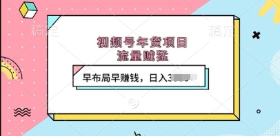 视频号年货项目，流量贼猛，早布局早挣钱，日入上k【揭秘】-泱泱学习社