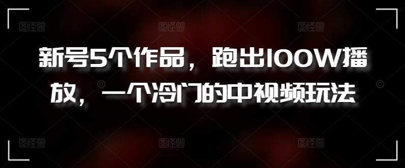 新号5个作品，跑出100W播放，一个冷门的中视频玩法【揭秘】-泱泱学习社