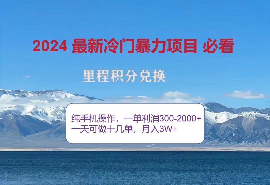 2024惊爆冷门暴利，里程积分最新玩法，高爆发期，一单300+—2000+-泱泱学习社