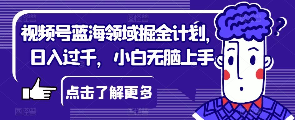 视频号蓝海领域掘金计划，日入过千，小白无脑上手【揭秘】-泱泱学习社