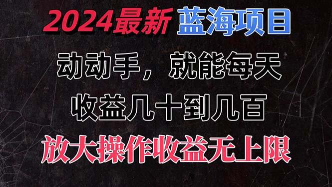 有手就行的2024全新蓝海项目，每天1小时收益几十到几百，可放大操作收…-泱泱学习社