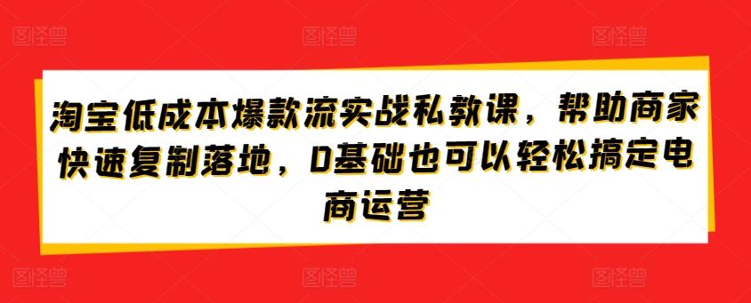 淘宝低成本爆款流实战私教课，帮助商家快速复制落地，0基础也可以轻松搞定电商运营-泱泱学习社