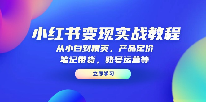 小红书变现实战教程：从小白到精英，产品定价，笔记带货，账号运营等-泱泱学习社