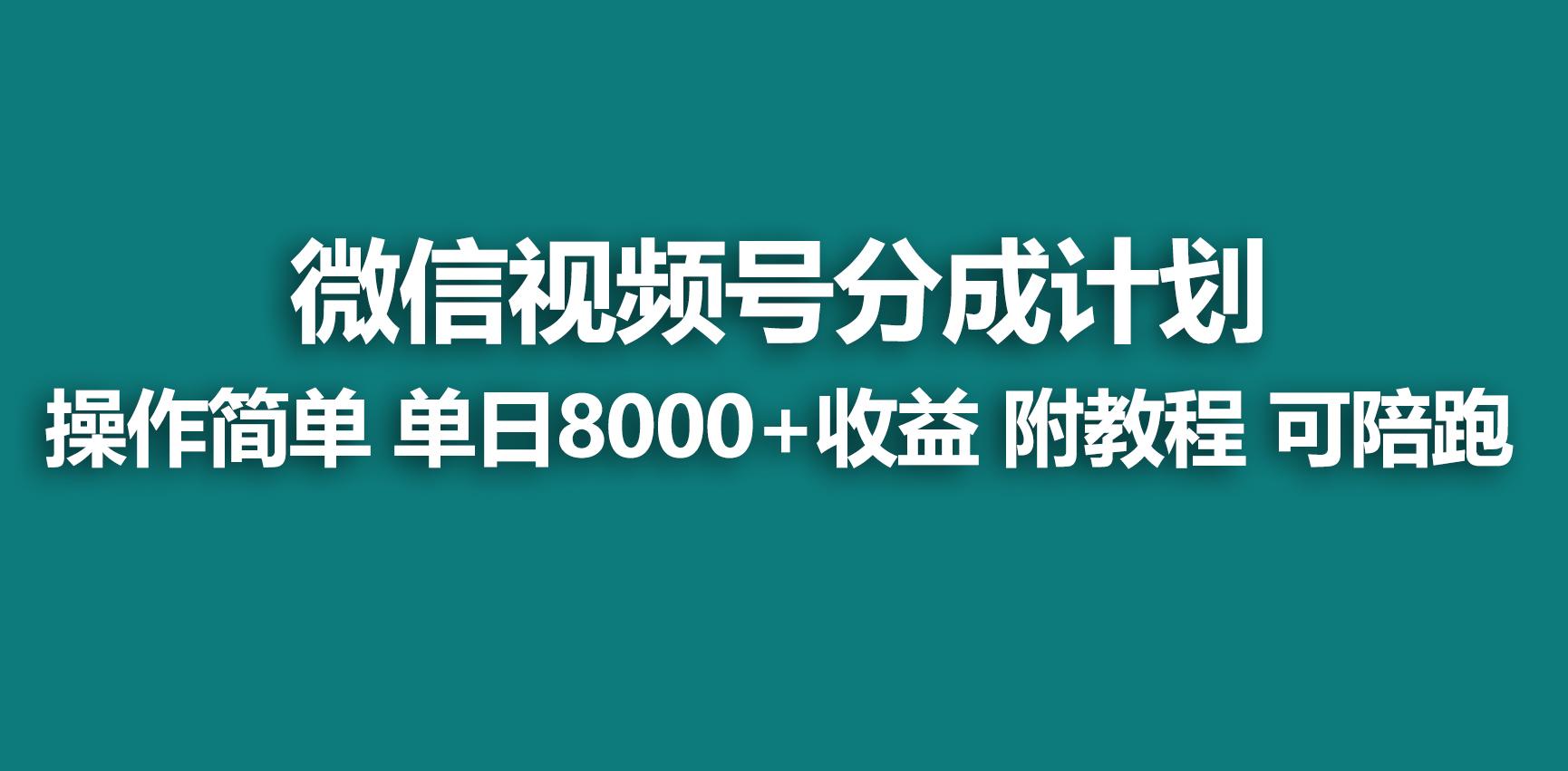 【蓝海项目】视频号分成计划，快速开通收益，单天爆单8000+，送玩法教程-泱泱学习社