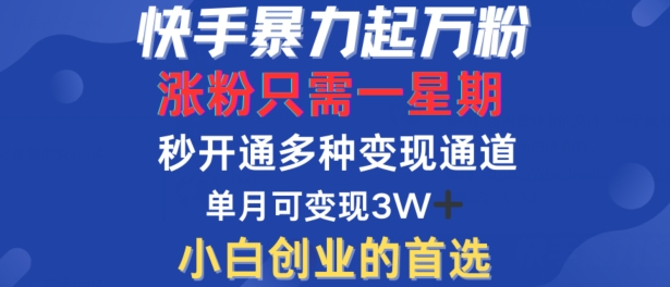 快手暴力起万粉，涨粉只需一星期，多种变现模式，直接秒开万合，单月变现过W【揭秘】-泱泱学习社