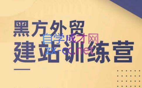 黑方老师·谷歌B端独立站建站推广-泱泱学习社