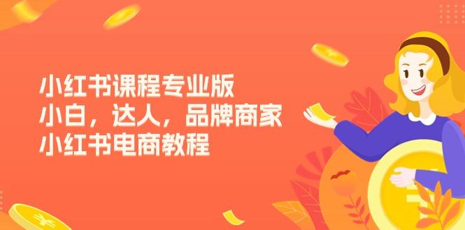 小红书课程专业版，小白，达人，品牌商家，小红书电商教程(15节-泱泱学习社