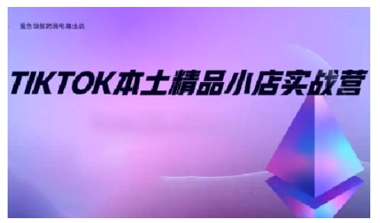TikTok本土精品小店出海实战营，从入门到高阶，不止0-1!-泱泱学习社