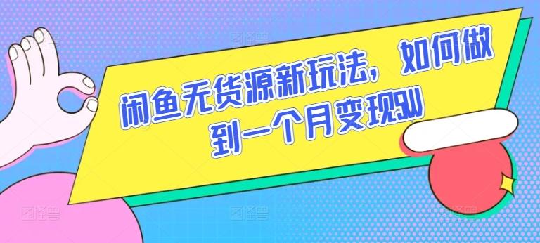 闲鱼无货源新玩法，如何做到一个月变现5W【揭秘】-泱泱学习社