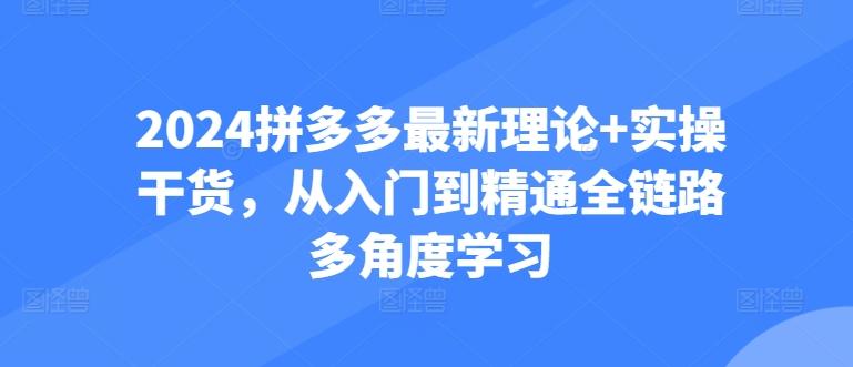 2024拼多多最新理论+实操干货，从入门到精通全链路多角度学习-泱泱学习社