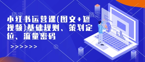 小红书运营课(图文+短视频)基础规则、策划定位、流量密码-泱泱学习社