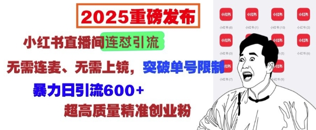 2025重磅发布：小红书直播间连怼引流，无需连麦、无需上镜，突破单号限制，暴力日引流600+-泱泱学习社