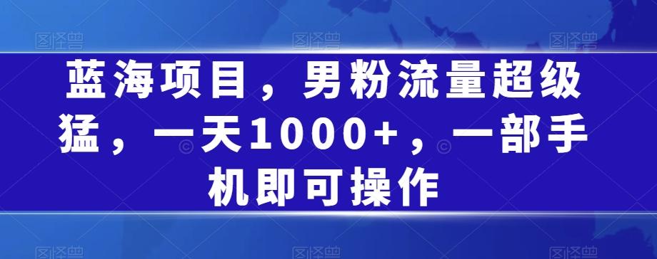 蓝海项目，男粉流量超级猛，一天1000+，一部手机即可操作【揭秘】-泱泱学习社