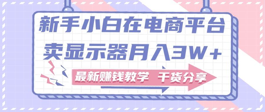 新手小白如何做到在电商平台卖显示器月入3W+，最新赚钱教学干货分享-泱泱学习社