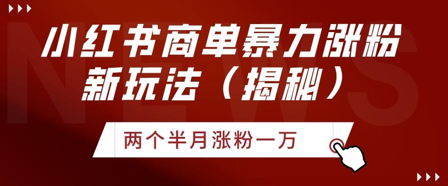 小红书商单暴力涨粉新玩法两个半月涨粉一万（揭秘）-泱泱学习社