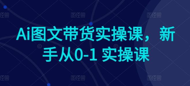 Ai图文带货实操课，新手从0-1 实操课-泱泱学习社