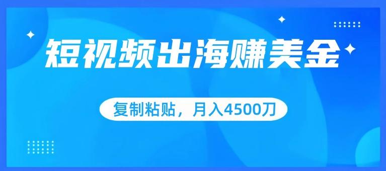 短视频出海赚美金，复制粘贴批量操作，小白轻松掌握，月入4500美刀【揭秘】-泱泱学习社