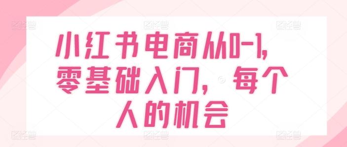 小红书电商从0-1，零基础入门，每个人的机会-泱泱学习社