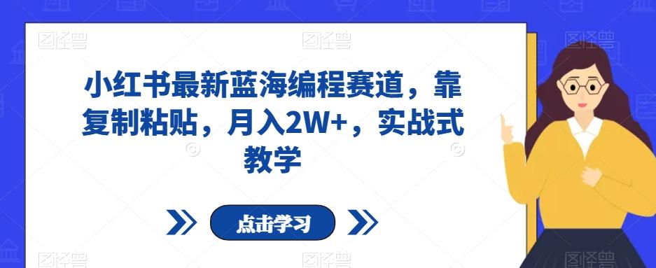 小红书最新蓝海编程赛道，靠复制粘贴，月入2W+，实战式教学【揭秘】-泱泱学习社