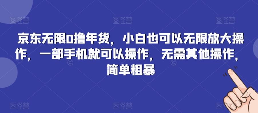 京东无限0撸年货，小白也可以无限放大操作，一部手机就可以操作，无需其他操作，简单粗暴-泱泱学习社