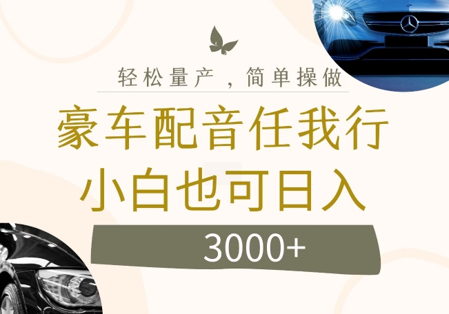 不为人知的暴力小项目，豪车配音，日入几张【揭秘】-泱泱学习社