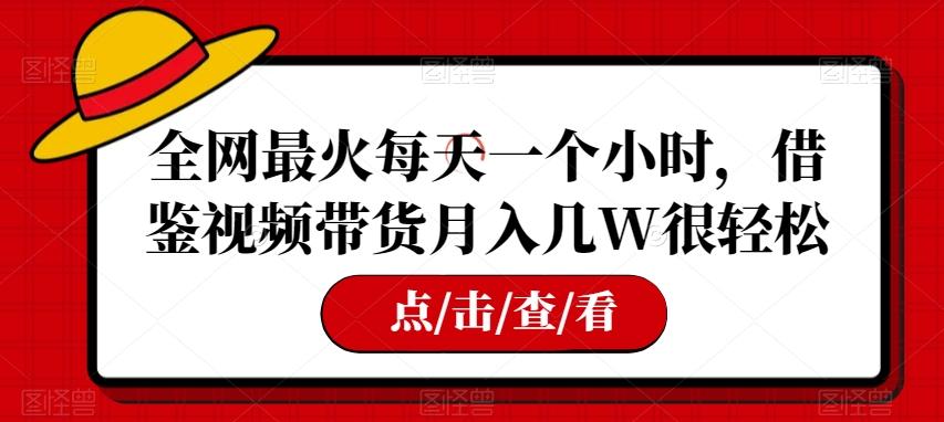 全网最火每天一个小时，借鉴视频带货月入几W很轻松【揭秘】-泱泱学习社