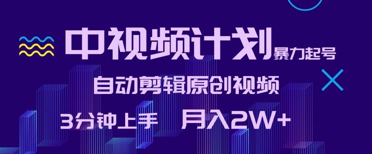 中视频计划暴力起号，自动剪辑原创视频，3分钟上手，月入2W+【揭秘】-泱泱学习社