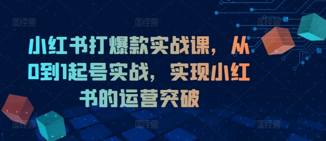 小红书打爆款实战课，从0到1起号实战，实现小红书的运营突破-泱泱学习社