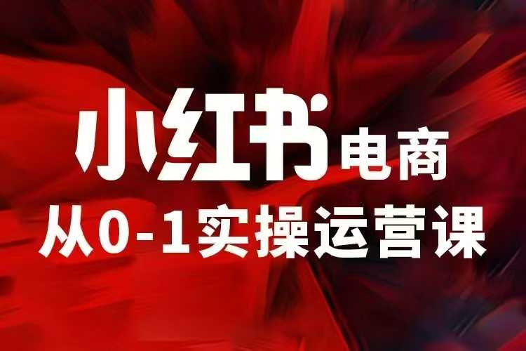 小红书电商运营，97节小红书vip内部课，带你实现小红书赚钱-泱泱学习社