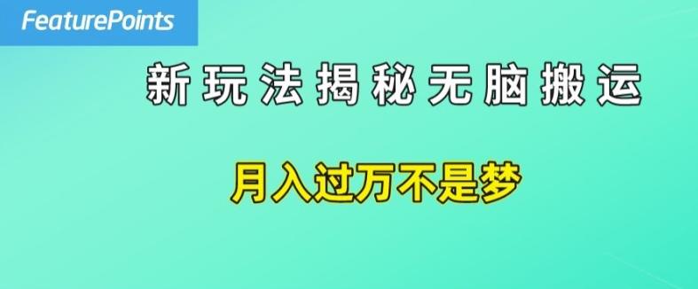简单操作，每天50美元收入，搬运就是赚钱的秘诀【揭秘】-泱泱学习社