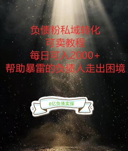 负债粉掘金计划，帮助负债者解决问题，债务规划，债务重组，最好的变现方式【揭秘】-泱泱学习社