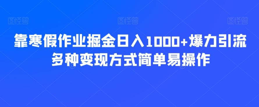 靠寒假作业掘金日入1000+爆力引流多种变现方式简单易操作-泱泱学习社