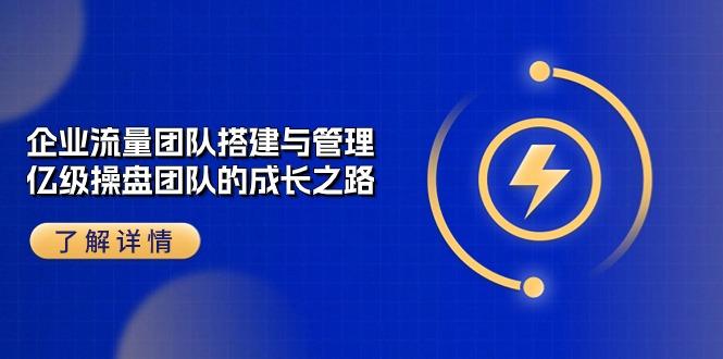 企业 流量团队-搭建与管理，亿级 操盘团队的成长之路(28节课-泱泱学习社
