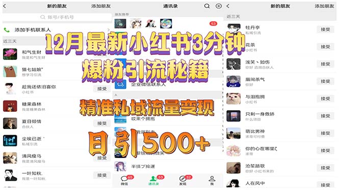 12月最新小红书3分钟爆粉引流秘籍 精准私域流量变现 日引500+-泱泱学习社
