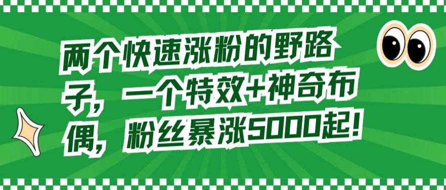 两个快速涨粉的野路子，一个特效+神奇布偶，粉丝暴涨5000起【揭秘】-泱泱学习社