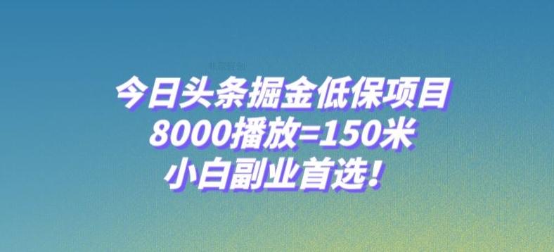 今日头条掘金低保项目，8000播放=150米，小白副业首选【揭秘】-泱泱学习社