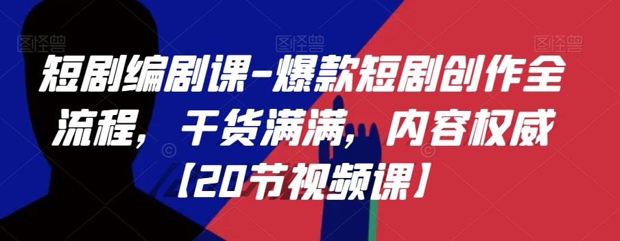 短剧编剧课-爆款短剧创作全流程，干货满满，内容权威【20节视频课】-泱泱学习社