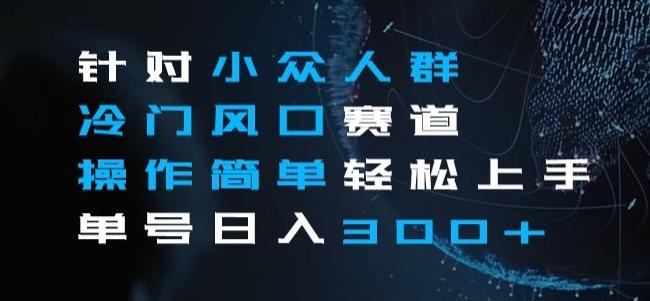 针对小众人群冷门风口赛道，操作简单轻松上手单号日入300+-泱泱学习社