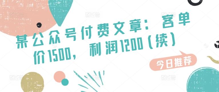 某公众号付费文章：客单价1500，利润1200(续)，市场几乎可以说是空白的-泱泱学习社