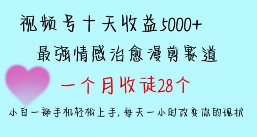 十天收益5000+，多平台捞金，视频号情感治愈漫剪，一个月收徒28个，小白一部手机轻松上手【揭秘】-泱泱学习社