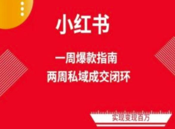 爆款小红书免费流量体系课程(两周变现)，小红书电商教程-泱泱学习社