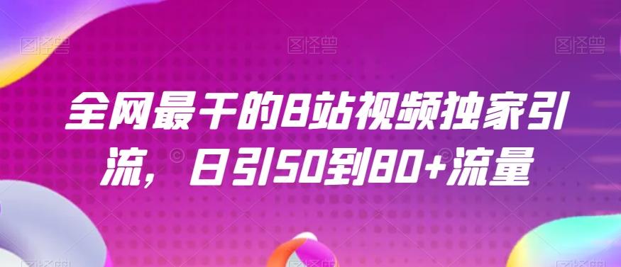 全网最干的B站视频独家引流，日引50到80+流量【揭秘】-泱泱学习社