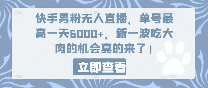 快手男粉无人直播，单号最高一天6000+，新一波吃大肉的机会真的来了-泱泱学习社