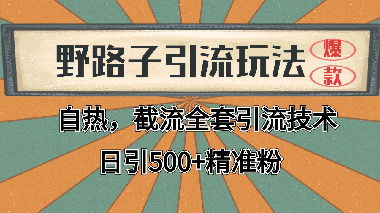 抖音小红书视频号全平台引流打法，全自动引流日引2000+精准客户-泱泱学习社