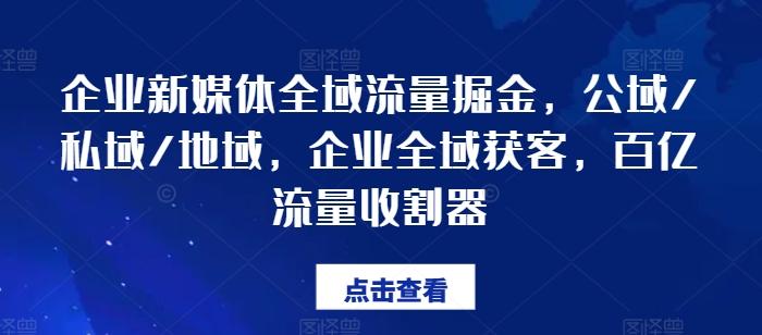 企业新媒体全域流量掘金，公域/私域/地域，企业全域获客，百亿流量收割器-泱泱学习社