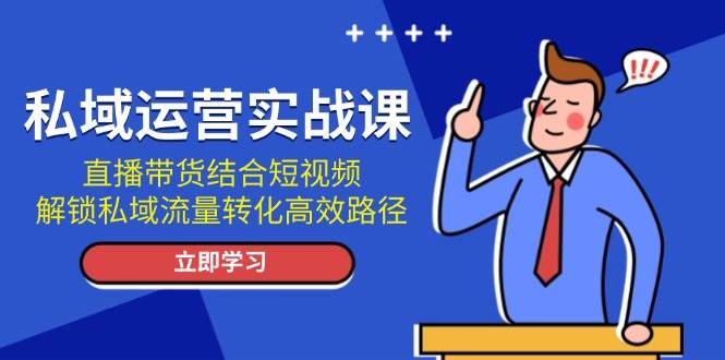 私域运营实战课：直播带货结合短视频，解锁私域流量转化高效路径-泱泱学习社