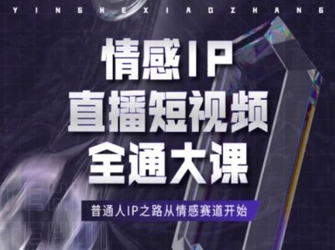 情感IP直播短视频全通大课，普通人IP之路从情感赛道开始-泱泱学习社