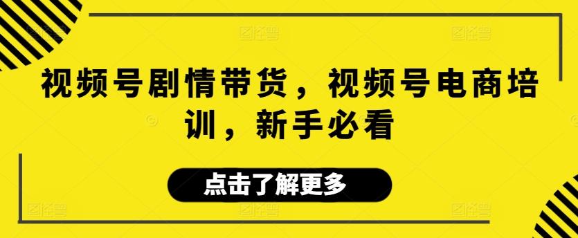 视频号剧情带货，视频号电商培训，新手必看-泱泱学习社